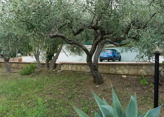 Santa Lucia * צ'פאלו